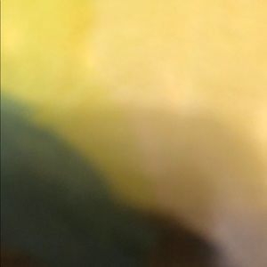 Meet your Posher, Sean